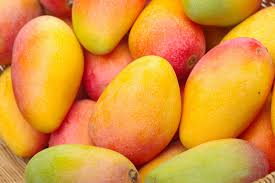 Fresh Fruits - Mango, Orange, Banana, Grapes